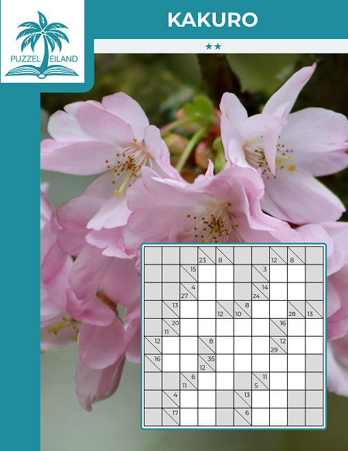 Kakuro 2* Kakuro - Editie 1